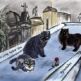 Unhappy Cats in the Cemetery
